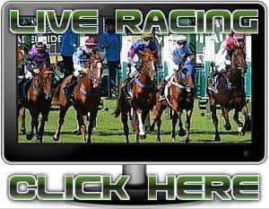 Live today racing kong horse hong Live Streaming